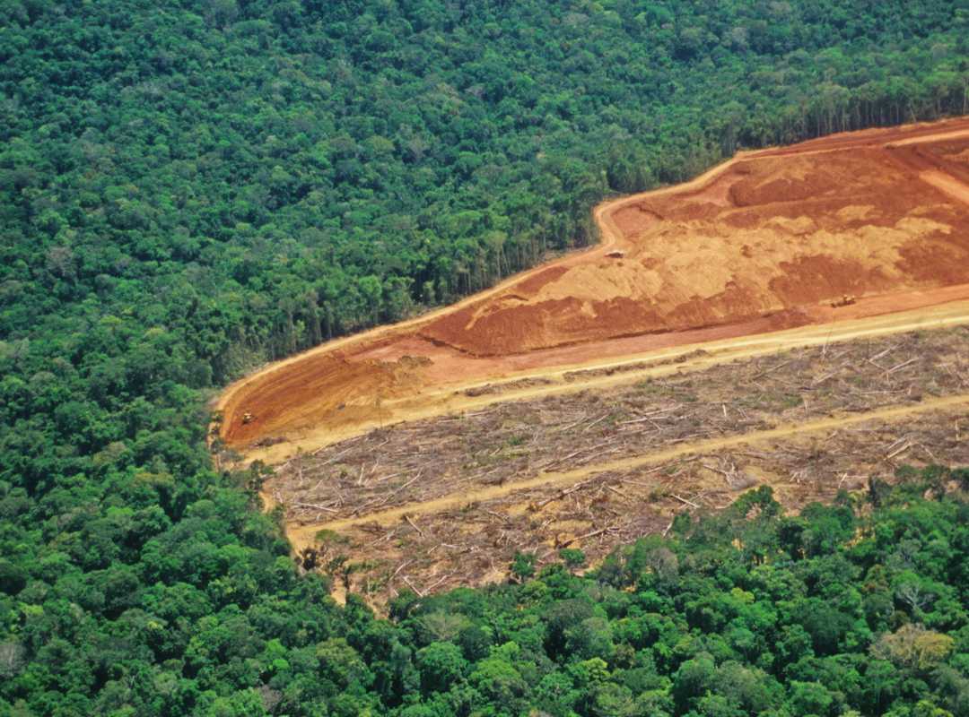 trabalhos com drone - meio ambiente