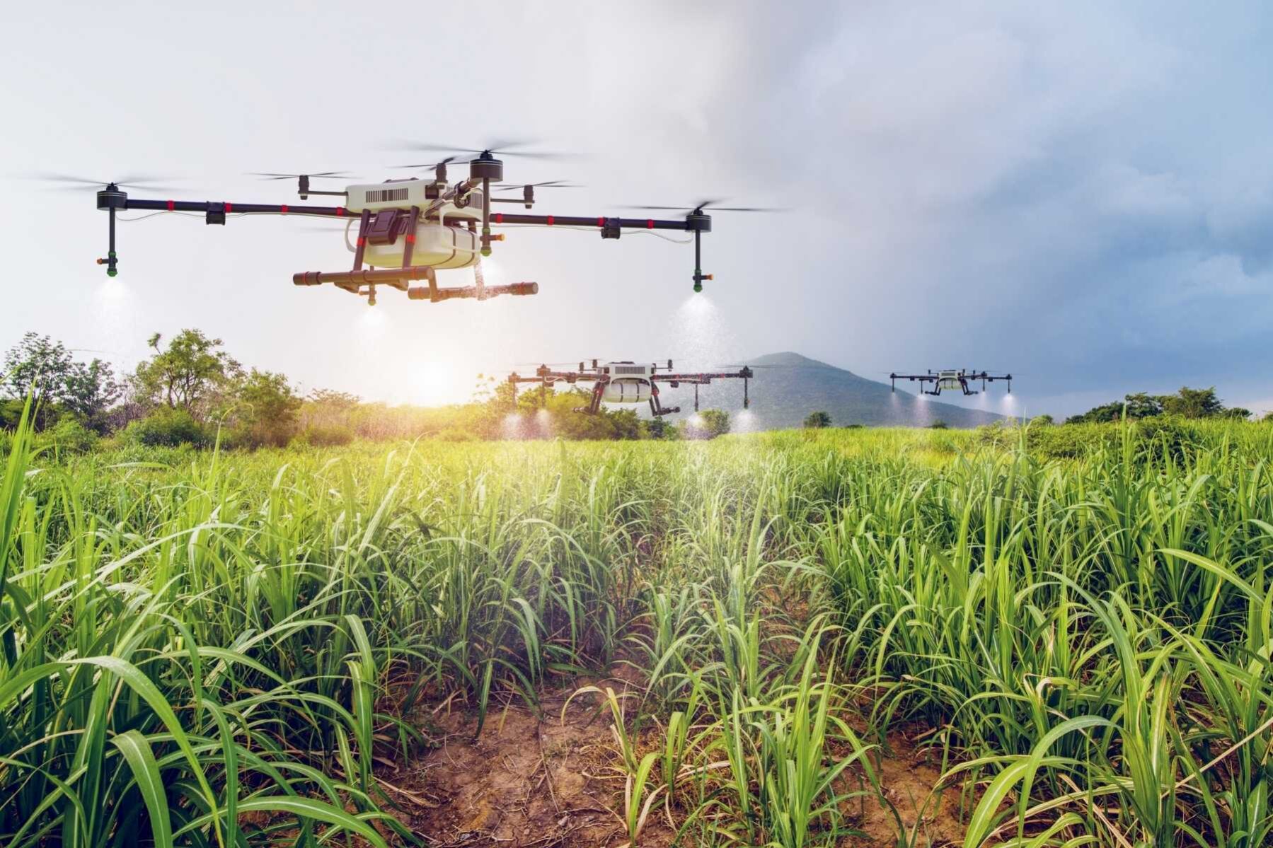 Drones Agrícolas de Pulverização